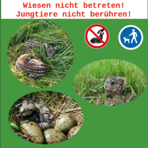 Schild Brut- und Setzzeit, Alu-Verbundplatte DIN A3, wetterfest