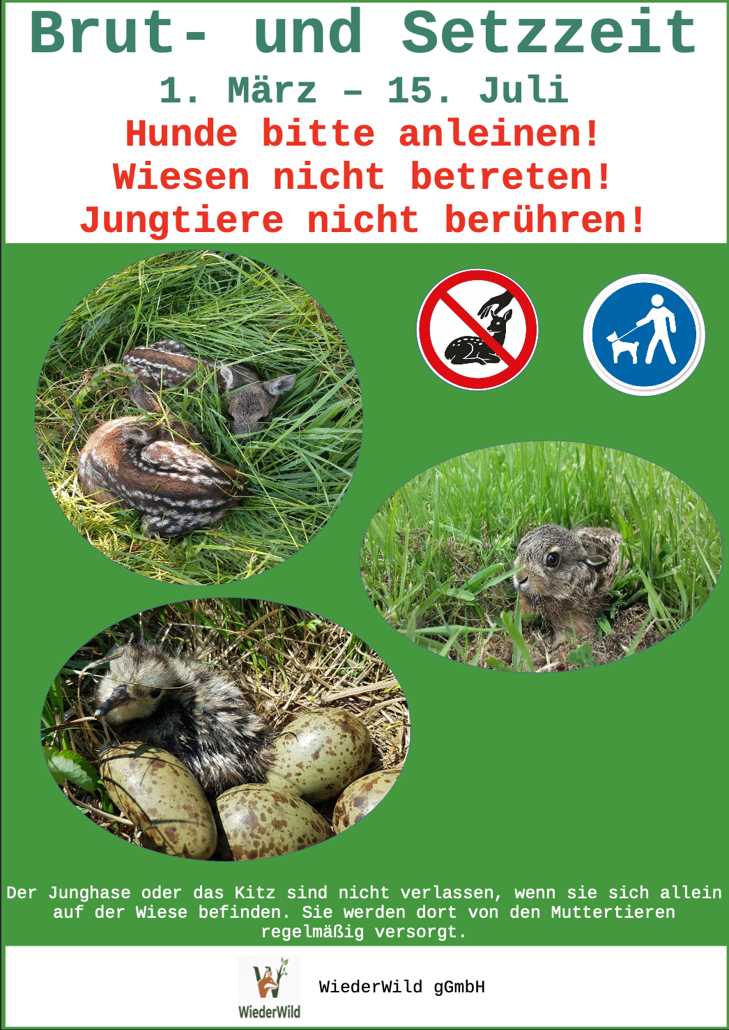 Schild Brut- und Setzzeit, Alu-Verbundplatte DIN A3, wetterfest