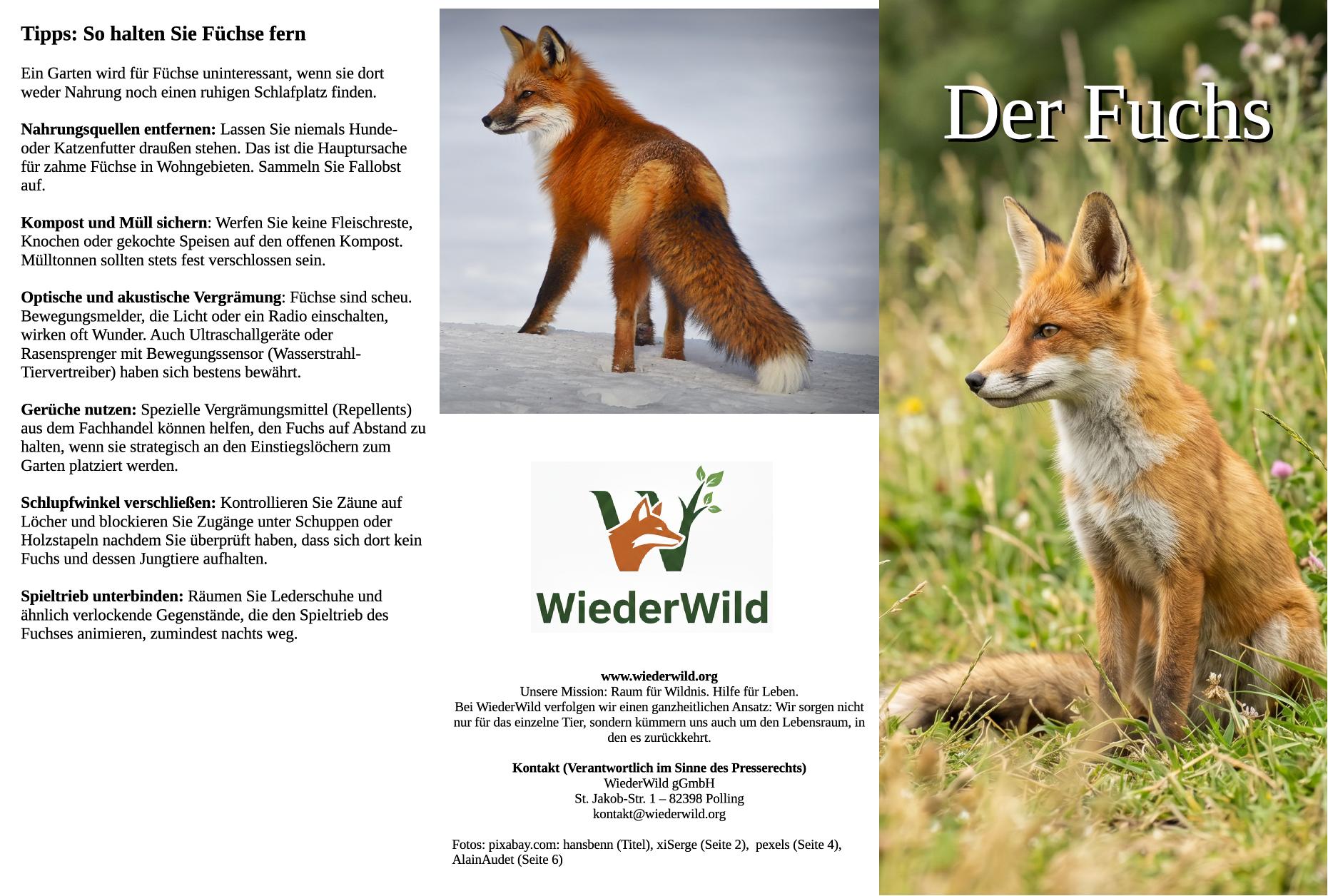 Informationsflyer Fuchs (50 Stück)